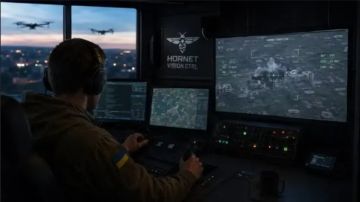 ������ �������: ������������ ������� ������� �������������� �������� Hornet Vision Ctrl, ������� ��������� ������� ������������ ��������� ������� �� ����� ����� ����