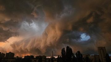 ���� ��������: ����������� ���� ��� ������