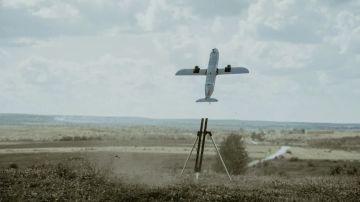 �������� ���������� ������������ �������������: ����� �� ������� ���������� ��������� ��� � �������