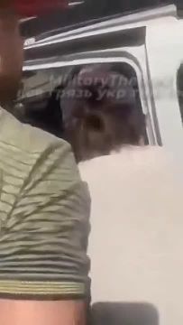 ������������� ���� ������ ������ ���������� �����������