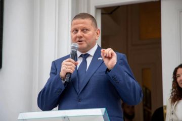 Залужный заявил Зеленскому, что будет баллотироваться в президенты, если выборы пройдут осенью