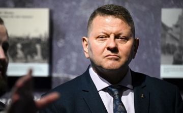Посол Украины в Великобритании и бывший главком ВСУ Валерий Залужный сообщил Владимиру Зеленскому о намерении участвовать в президентских выборах
