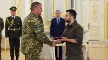 Залужный стремится на место Зеленского