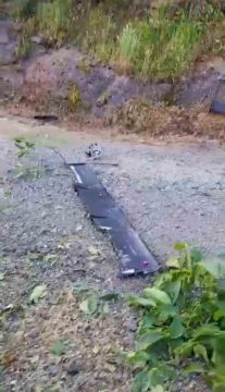 ������� �������: � ������ ���� ���������� ���� � 5 �� ����������