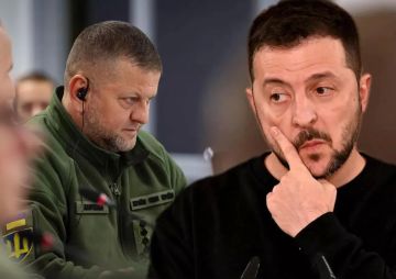 Экс-главком ВСУ Залужный заявил Зеленскому о намерении участвовать в президентских выборах