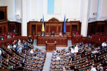 На Украине готовят драконовский закон – сажать будут всех
