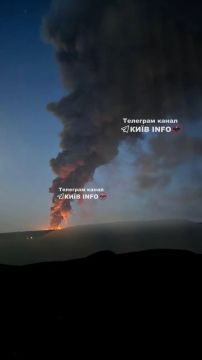 Пожар в Чайках Бучанского района Киевской области