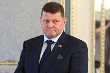 Ссора в волчьем логове. Залужный наконец решился заменить Зеленского