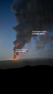 Пожар в Чайках Бучанского района Киевской области