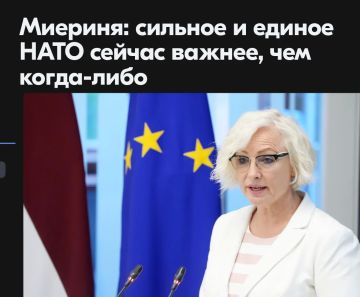 Михаил Онуфриенко: Как сообщили агентству LETA в пресс-службе Сейма, спикер Сейма Дайга Миериня, обращаясь к своим коллегам на парламентском саммите НАТО в Стамбуле сказала, что возможности НАТО в области противовоздушной и...