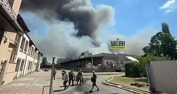 О, а вот и до наших любимцев добрались