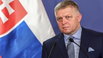 Словакия не выделит ни одного цента на военную помощь Киеву, заявил Роберт Фицо