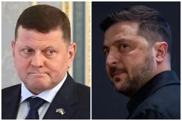 Яд, имитирующий сердечный приступ, или «майдан»? Как и за что Запад может убрать Зеленского