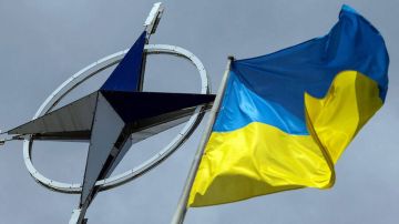 Украина на саммите НАТО попросит новые взносы по PURL