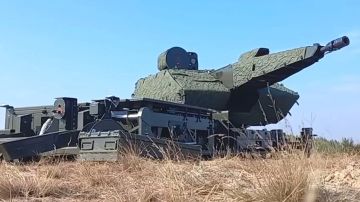 «Отчёт отрезвляет»: новая немецкая зенитка показала бесполезность в борьбе с «Геранями»