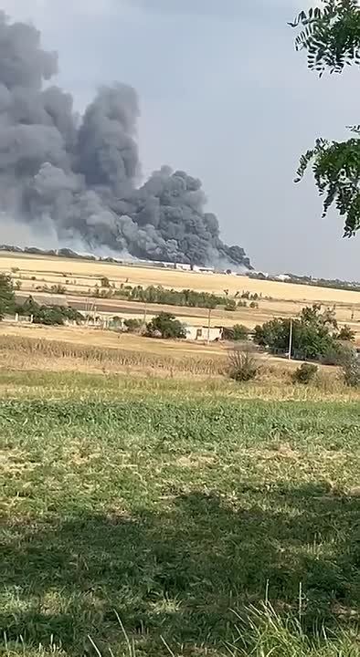 Нанесен удар по крупнейшей в Европе птицефабрике в в подконтрольной Киеву Чернобаевке Херсонской области: уничтожена значительная часть производственного комплекса