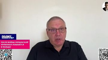 Социолог: Польша осознала, что к ним хлынут сотни тысяч озобленных ветеранов ВСУ