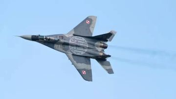 Польша спишет 14 МиГ-29, но не передаст их Киеву