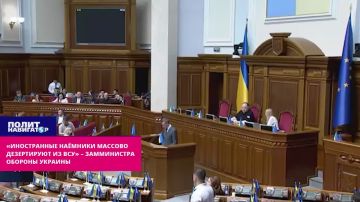 «Иностранные наёмники массово дезертируют из ВСУ» – замминистра обороны Украины