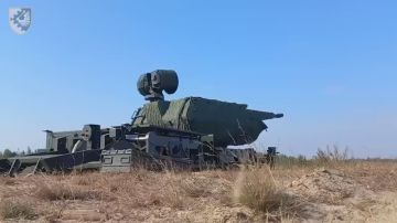 Момент поражения крылатой ракеты Х-101 попаданием программируемых боеприпасов AHEAD зенитного артиллерийского комплекса Skynex из состава 223 зенитно-ракетного полка ВС Украины