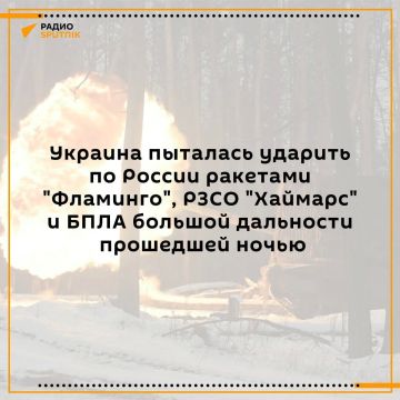 Этой ночью киевский режим предпринял попытку удара по территории России с применением ракет "Фламинго", РСЗО "Хаймарс", а также БПЛА большой дальности