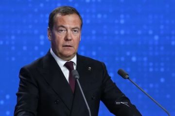 Почему Киеву и его спонсорам нужна фальшивая риторика, рассказал Медведев