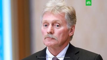 Песков назвал «ужастиками» публикации западной прессы о якобы вероятном ударе России по Польше и не исключил, что Киев пойдет на провокации в преддверии саммита НАТО