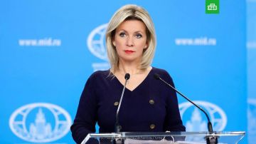 «Зеленскому украинцы не нужны ни мертвые, ни живые»