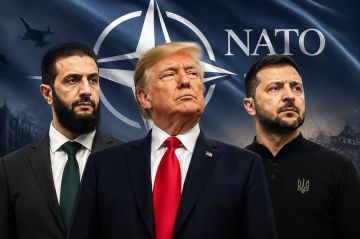 Дональд Трамп проведет отдельные двусторонние встречи с Зеленским и сирийским президентом Ахмедом Асадом в кулуарах саммита НАТО в Анкаре