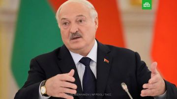 «Никто вас в эту бойню посылать не будет