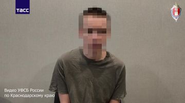 Кадры задержания подозреваемого в передаче информации спецслужбам Украины в Геленджике