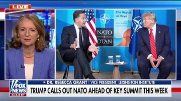 Александр Зимовский: Трамп заставил НАТО платить, теперь союзники должны превратить обещания в реальную силу