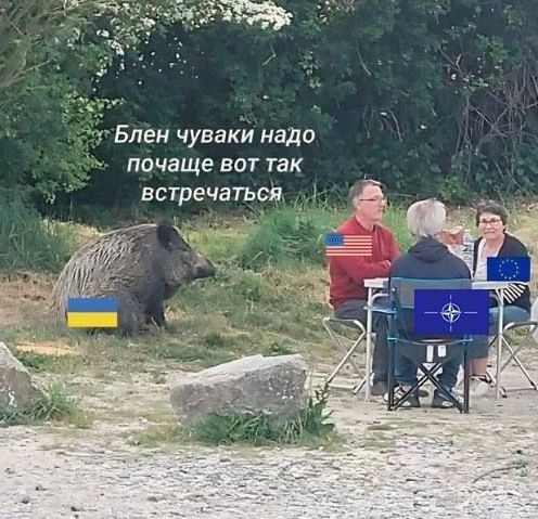 Зелебобу хотят заткнуть на саммите НАТО, чтоб он не раздражал Трампа, пишет буржуйский The Telegraph