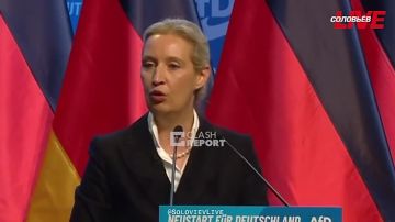 Евгений Лисицын: Вайдель против Киева: поддержка Украины стала непосильной ношей для Германии