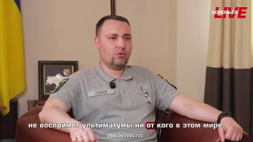 «Незрелость» — так Буданов охарактеризовал реакцию Польши на новую волну реабилитации нацизма на Украине
