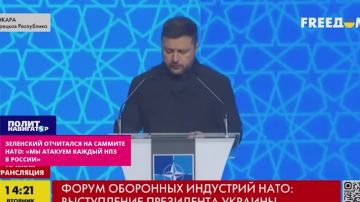 Зеленский отчитался на саммите НАТО: «Мы атакуем каждый НПЗ в России»