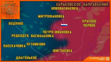 Группировка войск "Север" освободила село Петро-Ивановка в Харьковской области