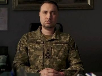 Буданов* отверг какие-либо территориальные компромиссы со стороны Киева