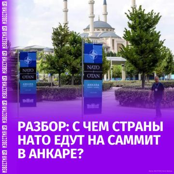 Какие проблемы накопились у НАТО в преддверии саммита в Анкаре?