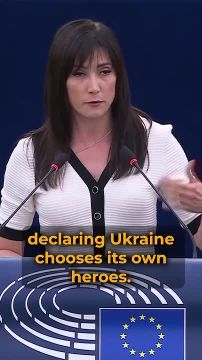 Евродепутат от Польши разорвала флаг УПА*, выступив против украинского членства в Евросоюзе