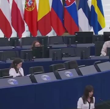 Флаг ОУН-УПА* разорвали прямо в Европарламенте во время дебатов по Украине