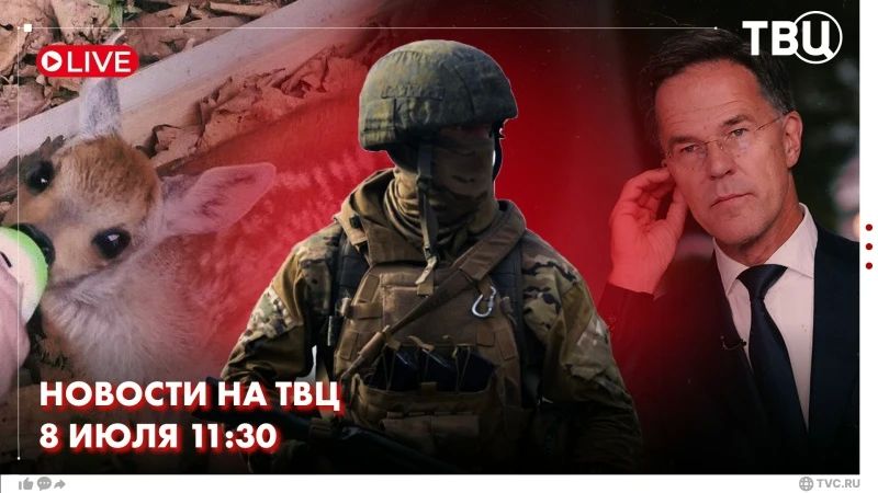 Генсек НАТО Марк Рютте заявил, что ночные удары США по Ирану были оправданными