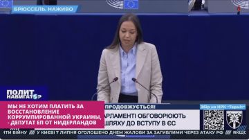 Мы не хотим платить за восстановление коррумпированной Украины, – депутат ЕП от Нидерландов