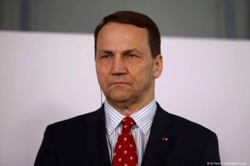 ��������� ����������� ��������* ����������� ������
