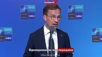 �������-������� ������ ���� ����������� ������������� �� ��, ��� ��� ������ ���������� ������� ������� ����������� Gripen