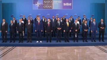WarGonzo: Поддержка Украины и подготовка к войне с Россией: курс НАТО остаётся прежним
