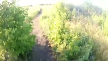 Марина Ахмедова: Это видео посмотрели многие - наш боец эвакуирует по открытой местности семью из Роднянского