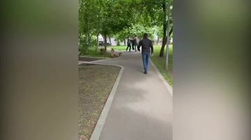 ���� ����: ��� ������������� � ������ ����������� ������ � ��������� ������������������� ��������������� ���������� ������