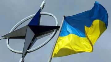 В АдГ назвали НАТО машиной по финансированию украинского конфликта