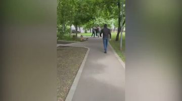 ���: ��������� ������� ����������� ��������� ����������� ������ � ��������� �� �������